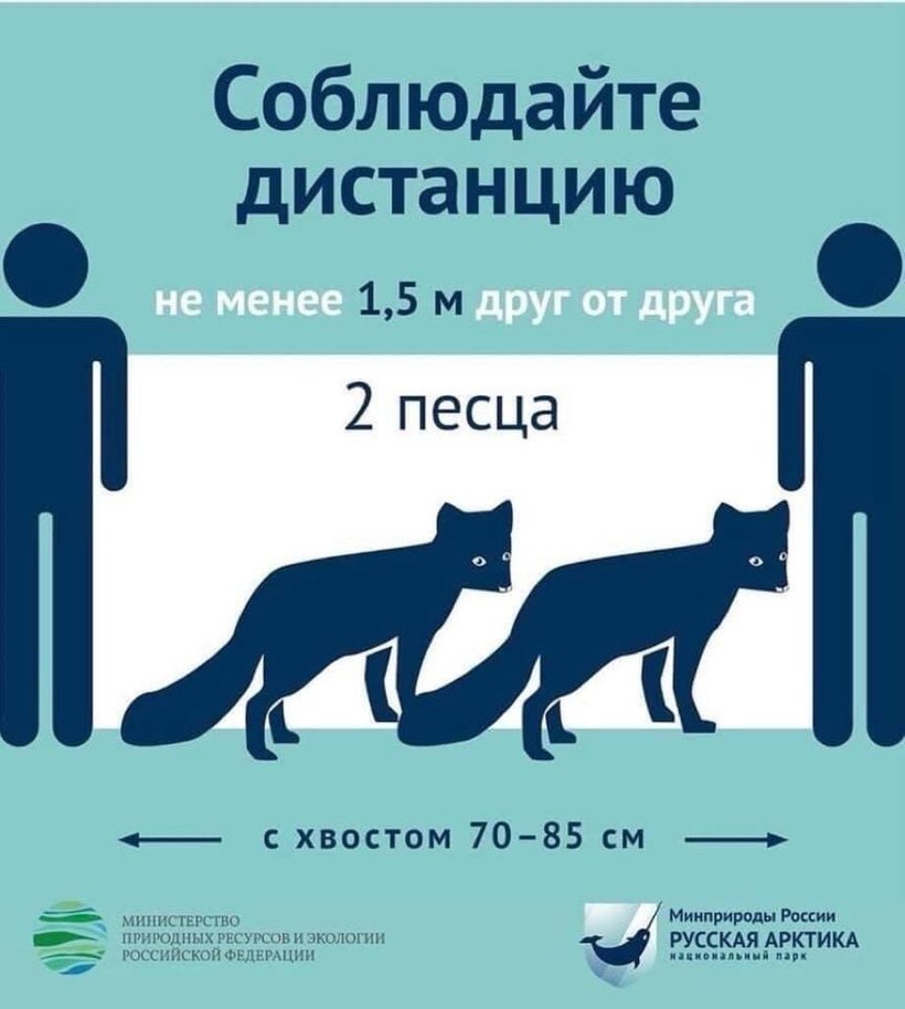 Блог - Во всем мире безопасную дистанцию между людьми вдруг стали измерять животными Во всем мире безопасную дистанцию между людьми вдруг стали измерять животными