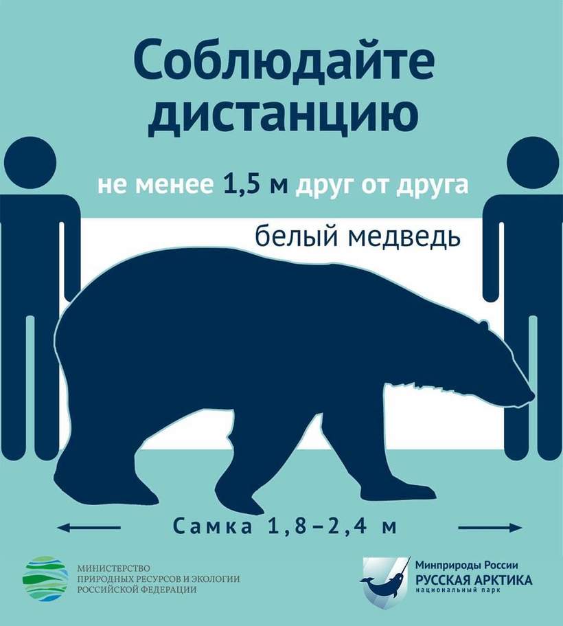 Блог - Во всем мире безопасную дистанцию между людьми вдруг стали измерять животными Во всем мире безопасную дистанцию между людьми вдруг стали измерять животными