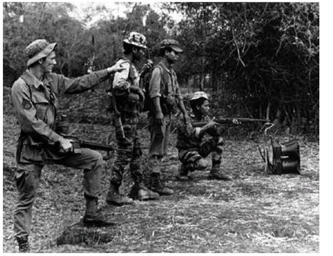 Самые необычные хитрости, к которым прибегали военные, чтобы победить