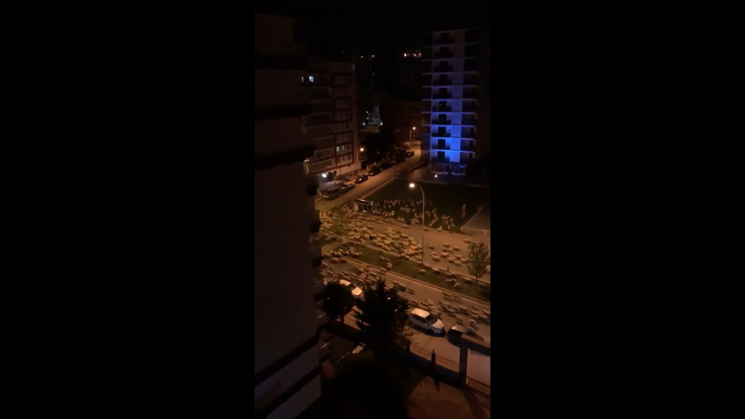 Блог - Видео: Десятки овец заполонили опустевшие турецкие улицы Видео: Десятки овец заполонили опустевшие турецкие улицы