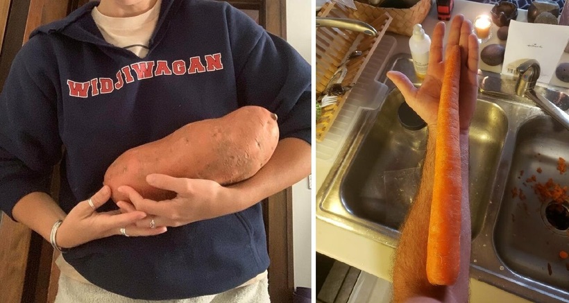 Блог - Люди делятся фото невероятных продуктов, которые они получали, заказав их на дом Люди делятся фото невероятных продуктов, которые они получали, заказав их на дом