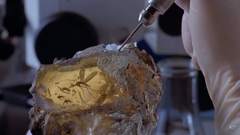 Видео: Ученые начинают клонирование динозавров