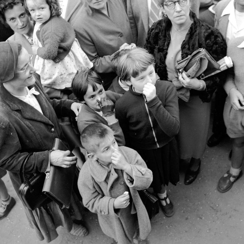 Самая странная выставка китов, путешествовавшая по Европе двадцать лет