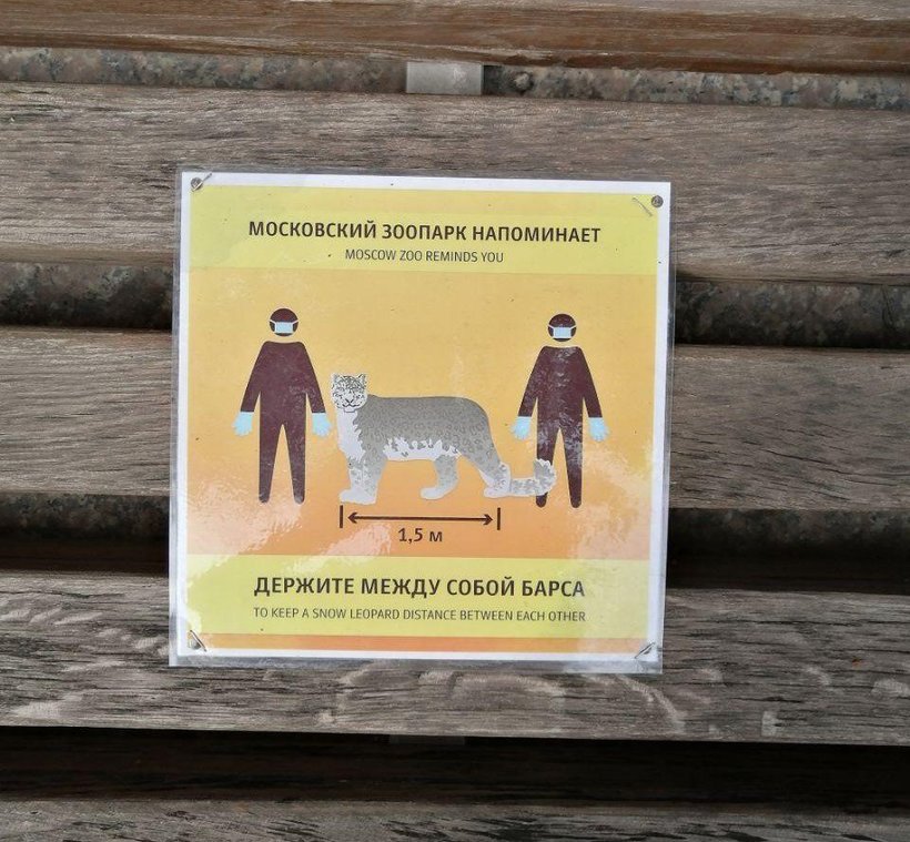 Блог - Будь как орлан: Московский зоопарк напомнил о безопасной дистанции забавными плакатами Будь как орлан: Московский зоопарк напомнил о безопасной дистанции забавными плакатами