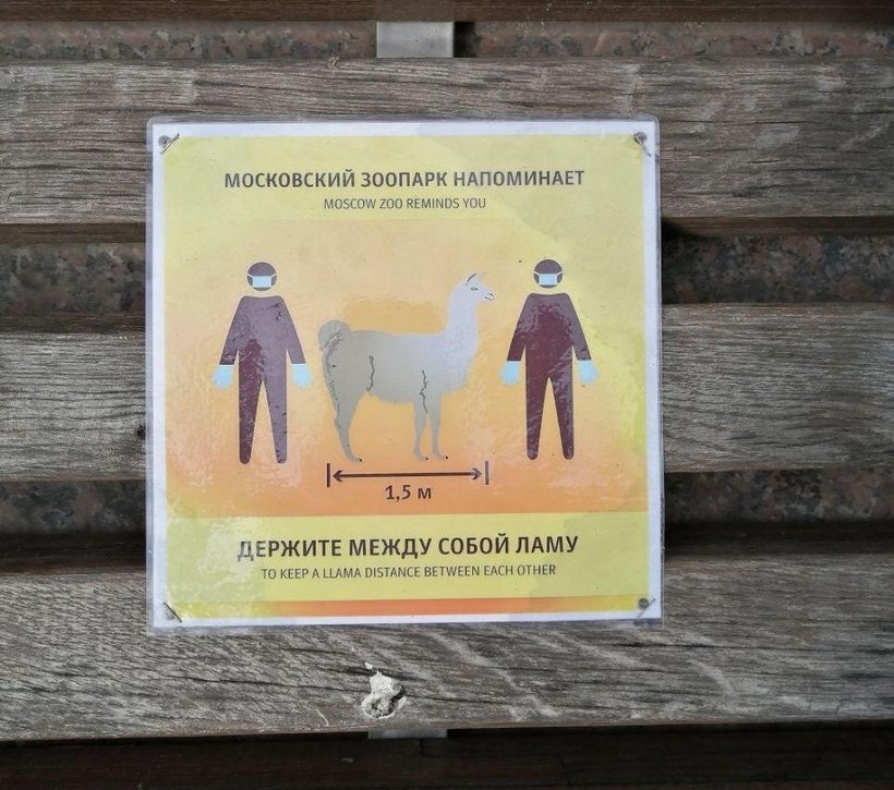 Блог - Будь как орлан: Московский зоопарк напомнил о безопасной дистанции забавными плакатами Будь как орлан: Московский зоопарк напомнил о безопасной дистанции забавными плакатами