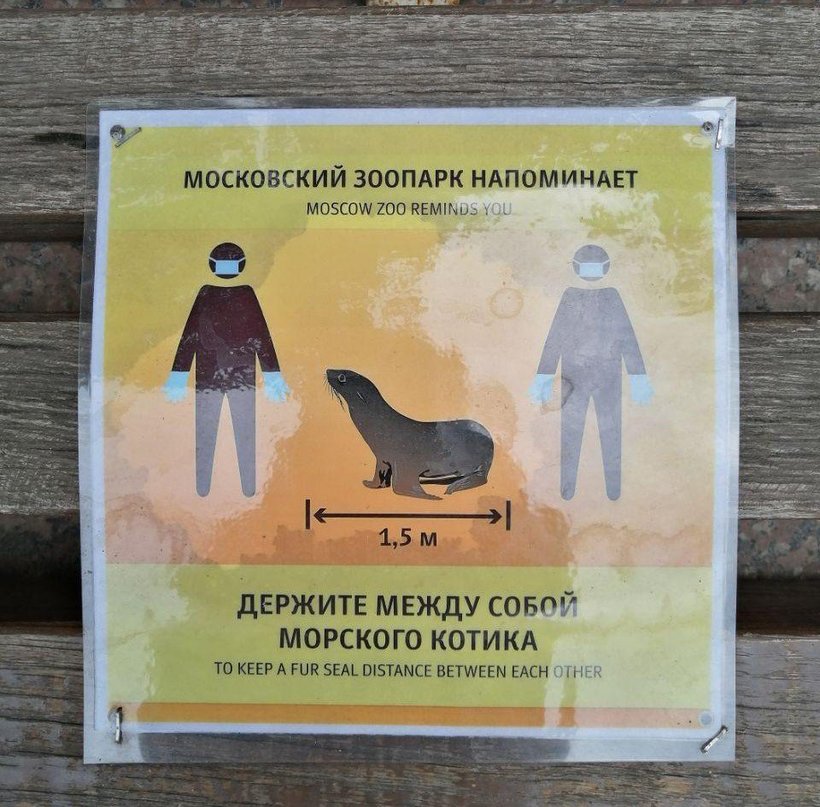 Блог - Будь как орлан: Московский зоопарк напомнил о безопасной дистанции забавными плакатами Будь как орлан: Московский зоопарк напомнил о безопасной дистанции забавными плакатами