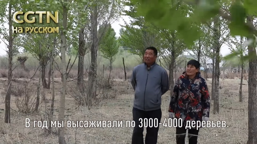 Блог - Видео: Пара которая победила пустыню, посадив там более 100 000 деревьев Видео: Пара которая победила пустыню, посадив там более 100 000 деревьев