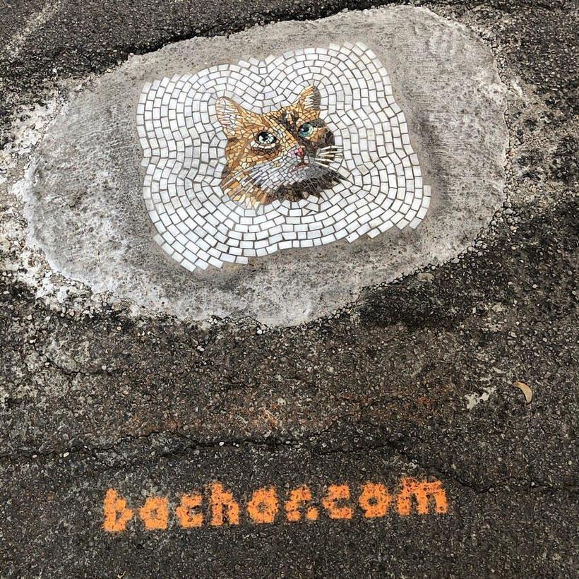 Блог - Художник из Чикаго заделывает дыры в асфальте, выкладывая картины из мозаики Художник из Чикаго заделывает дыры в асфальте, выкладывая картины из мозаики