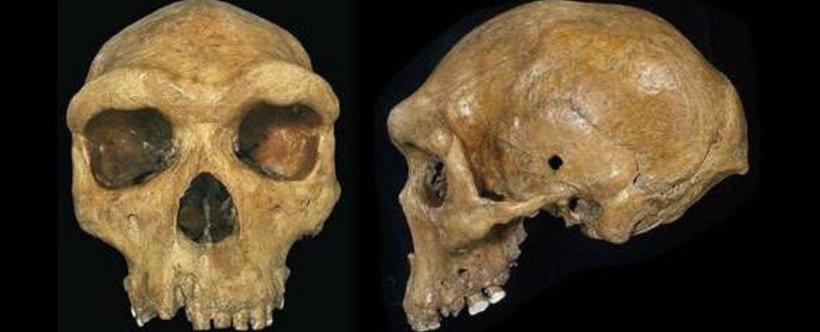 Блог - 7 археологических открытий, которые оказались ошибкой или мистификацией 7 археологических открытий, которые оказались ошибкой или мистификацией