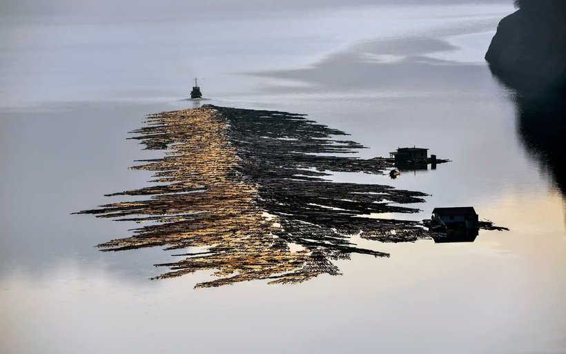 Фотограф: Жуфан Куи Фотограф: Жуфан Куи