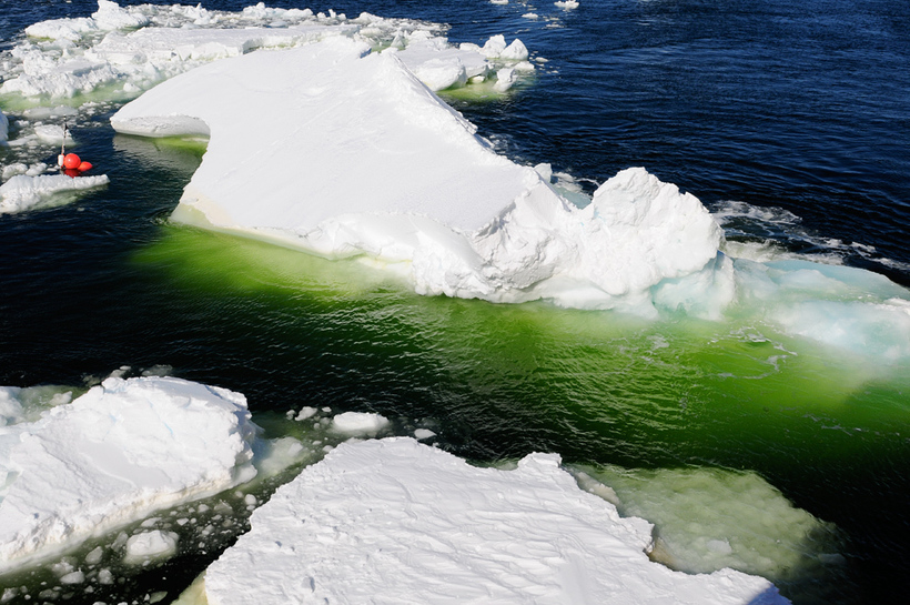 Морская вода в летней Арктике Морская вода в летней Арктике