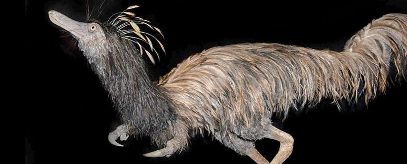 Реконструкция Trierarchuncus prairiensis Реконструкция Trierarchuncus prairiensis