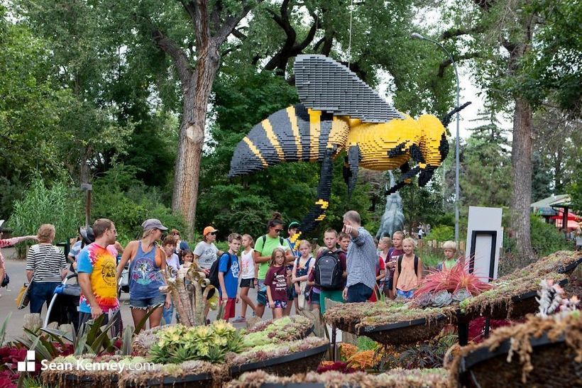 Блог - В зоопарке собрали скульптуры животных из миллионов деталей LEGO В зоопарке собрали скульптуры животных из миллионов деталей LEGO