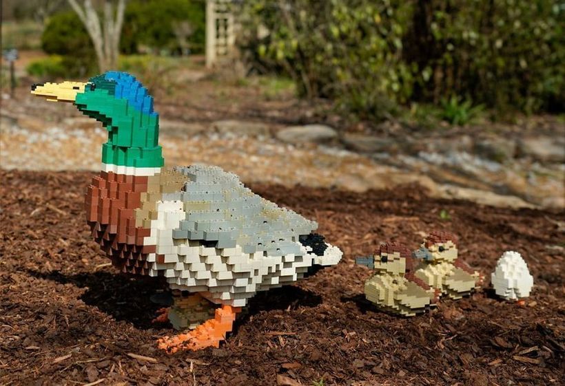 Блог - В зоопарке собрали скульптуры животных из миллионов деталей LEGO В зоопарке собрали скульптуры животных из миллионов деталей LEGO
