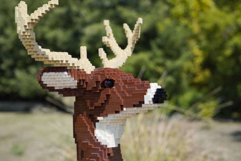 Блог - В зоопарке собрали скульптуры животных из миллионов деталей LEGO В зоопарке собрали скульптуры животных из миллионов деталей LEGO