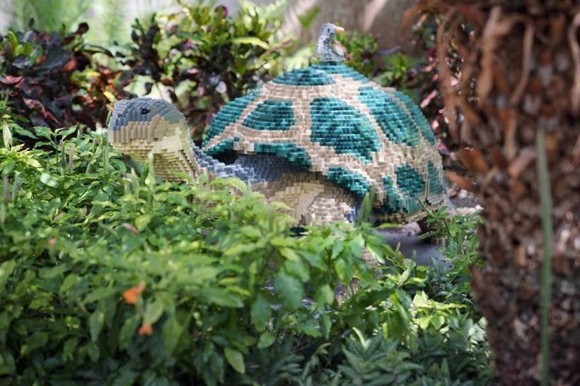 Блог - В зоопарке собрали скульптуры животных из миллионов деталей LEGO В зоопарке собрали скульптуры животных из миллионов деталей LEGO