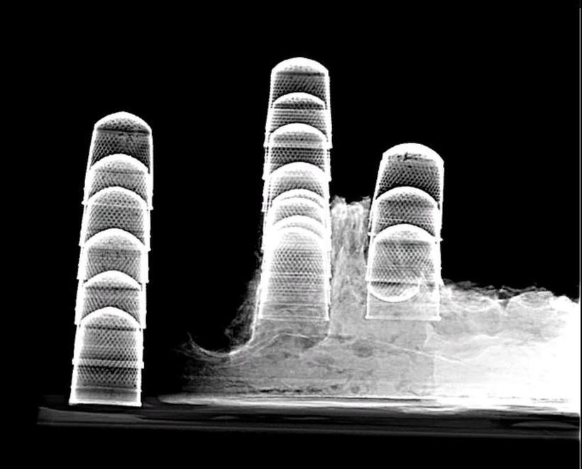 Тысячи уникальных предметов обнаружены на месте крушения корабля Rooswijk 1740 года