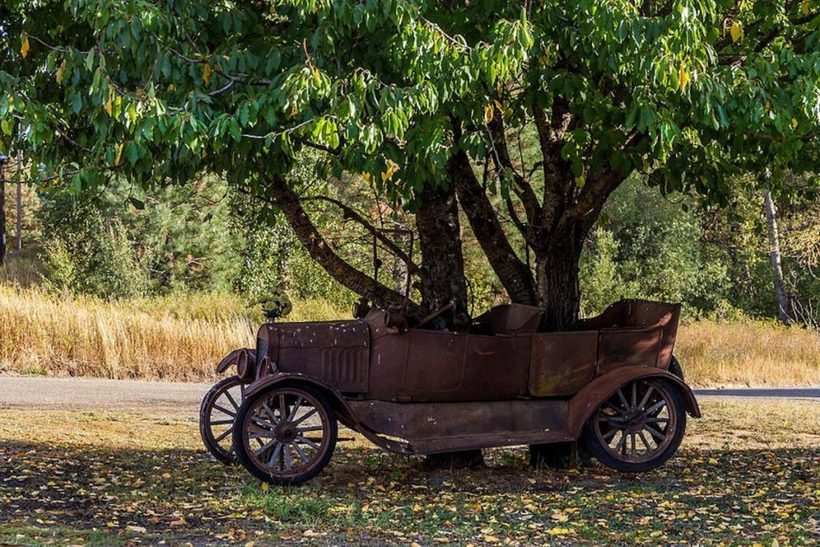 Блог - Как деревья взяли верх над машинами: 20 зеленых фото брошенных автомобилей Как деревья взяли верх над машинами: 20 зеленых фото брошенных автомобилей