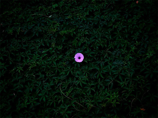 Блог - Победители конкурса IPhone Photography Awards 2020 Победители конкурса IPhone Photography Awards 2020