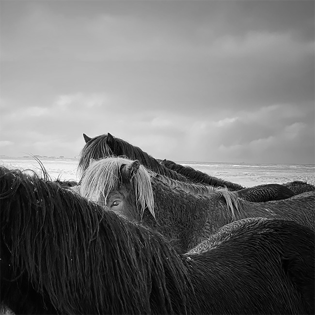 Блог - Победители конкурса IPhone Photography Awards 2020 Победители конкурса IPhone Photography Awards 2020