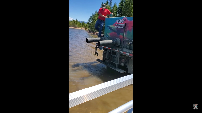 Блог - Интересное видео о том, как происходит зарыбление водоема в Вайоминге Интересное видео о том, как происходит зарыбление водоема в Вайоминге