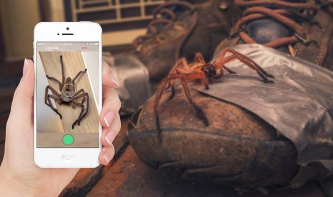 Так выглядит приложение Critterpedia Так выглядит приложение Critterpedia