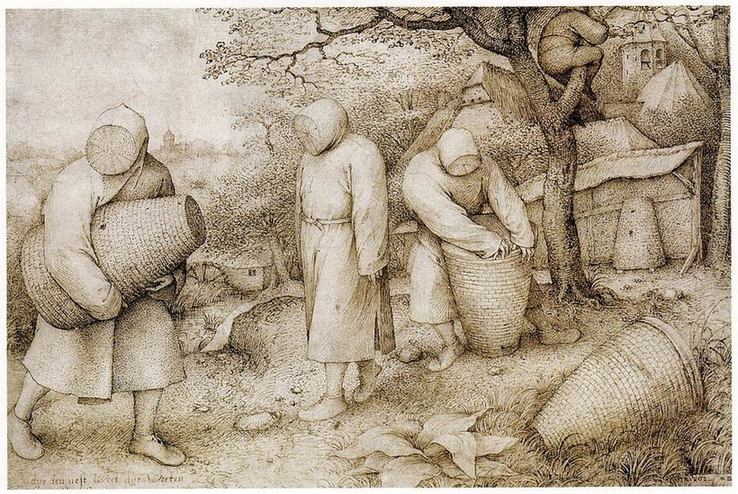 «Пчеловоды», 1565 год. Питер Брейгель Старший «Пчеловоды», 1565 год. Питер Брейгель Старший