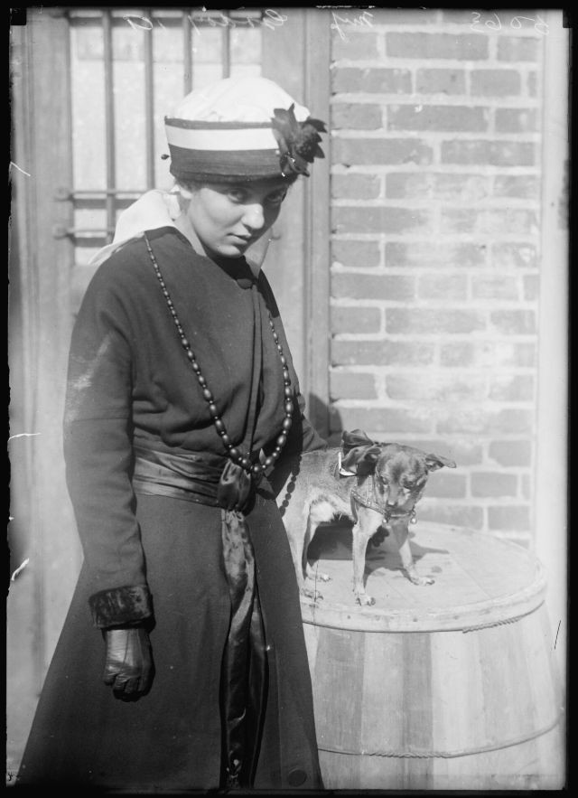 Блог - 18 прекрасных фотографий людей с питомцами на выставке собак 1915 года 18 прекрасных фотографий людей с питомцами на выставке собак 1915 года