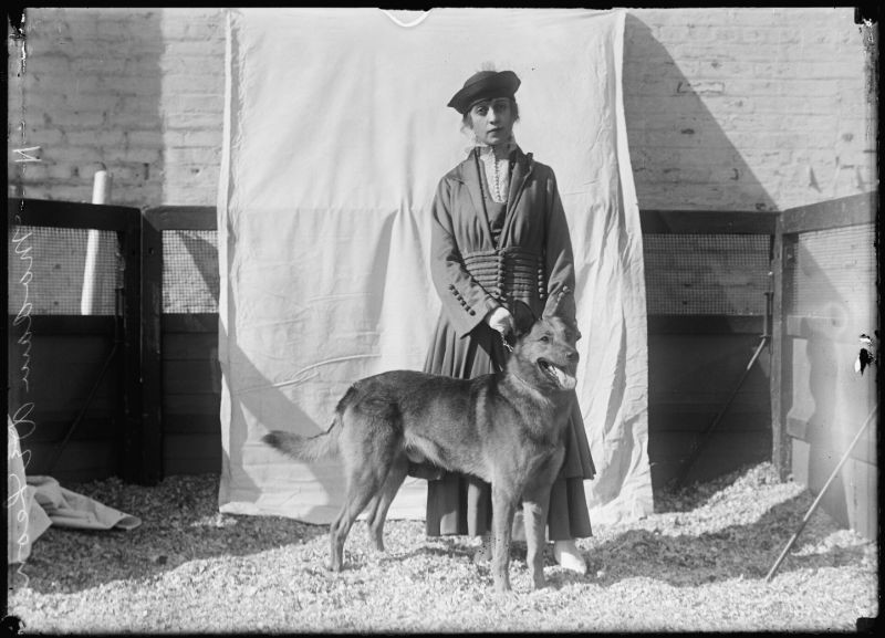 Блог - 18 прекрасных фотографий людей с питомцами на выставке собак 1915 года 18 прекрасных фотографий людей с питомцами на выставке собак 1915 года