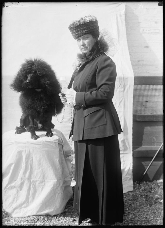 Блог - 18 прекрасных фотографий людей с питомцами на выставке собак 1915 года 18 прекрасных фотографий людей с питомцами на выставке собак 1915 года