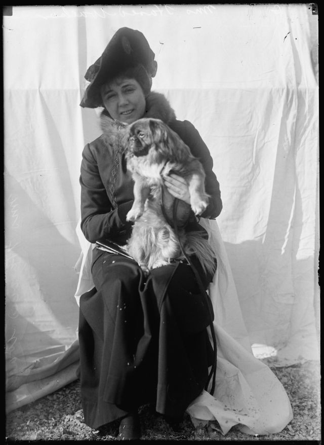 Блог - 18 прекрасных фотографий людей с питомцами на выставке собак 1915 года 18 прекрасных фотографий людей с питомцами на выставке собак 1915 года