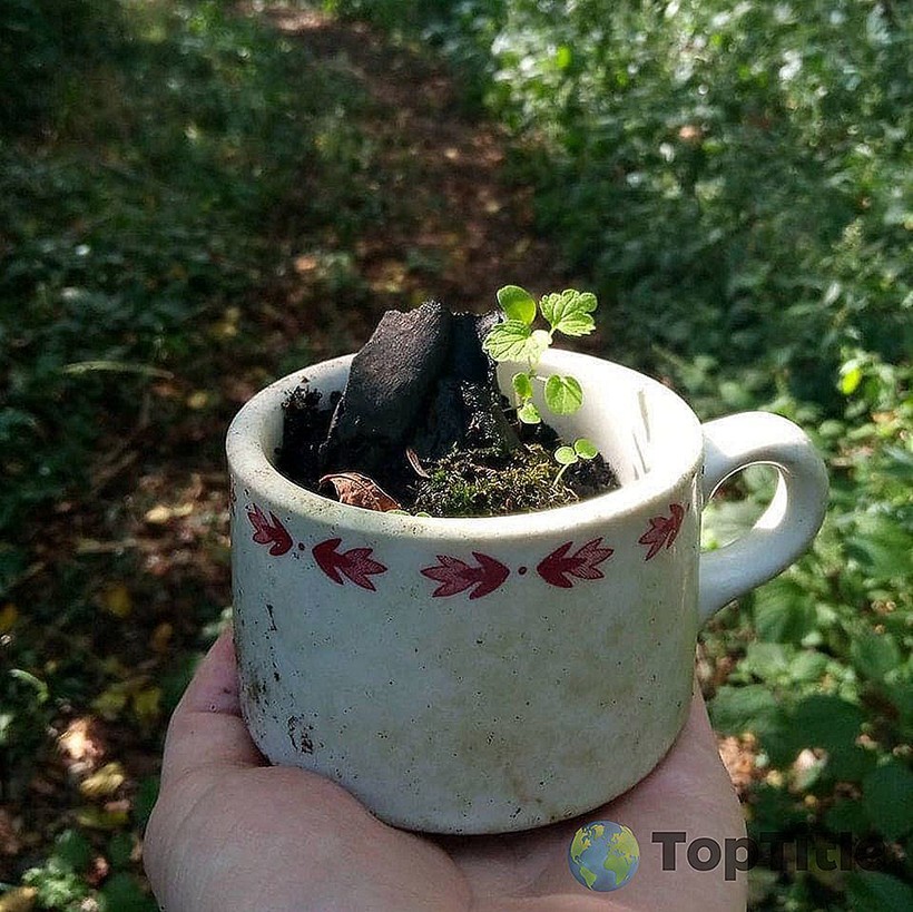 Блог - 15 случаев, когда люди пошли в лес и обнаружили странные вещи, которым там не место 15 случаев, когда люди пошли в лес и обнаружили странные вещи, которым там не место