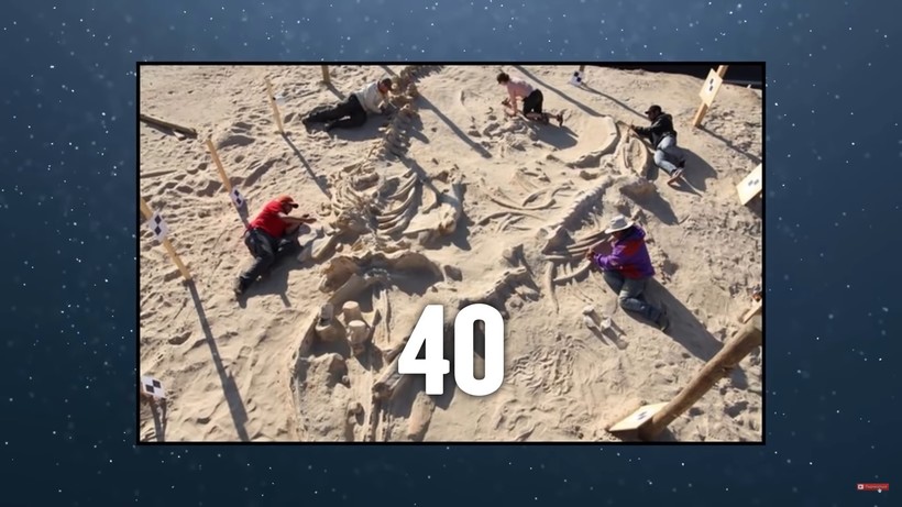 Блог - Видео: 10 самых необычных вещей, найденных в пустыне Видео: 10 самых необычных вещей, найденных в пустыне