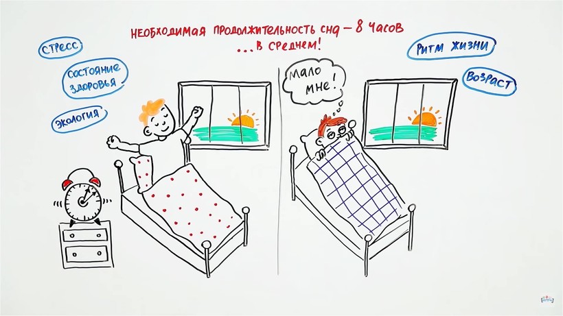 Блог - Видео: Ученые рассказали, как высыпаться на неделю вперед Видео: Ученые рассказали, как высыпаться на неделю вперед