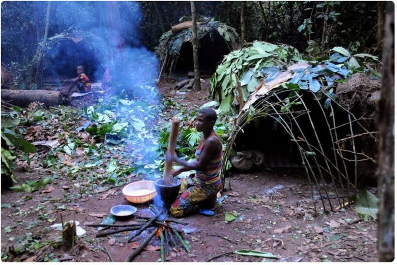 Племя собирателей в глухих лесах Амазонки