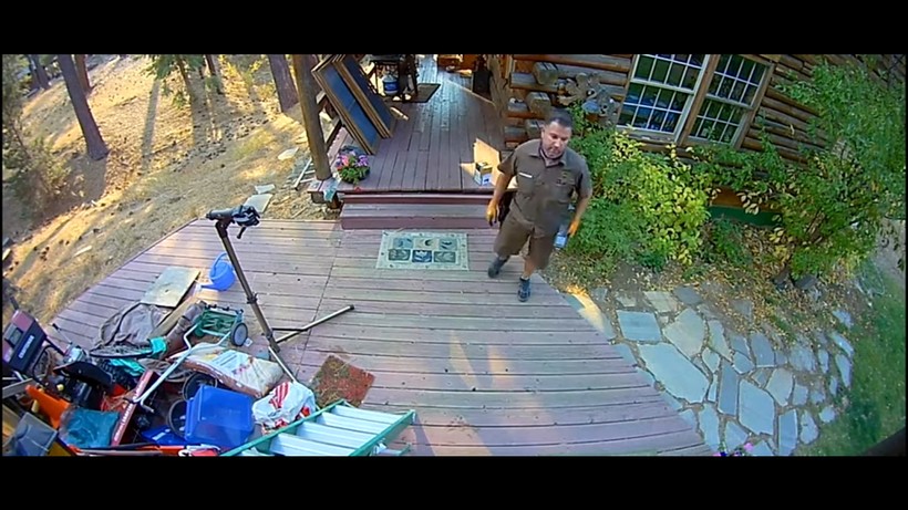 Блог - Видео: Американский курьер и медведь испугались друг друга Видео: Американский курьер и медведь испугались друг друга