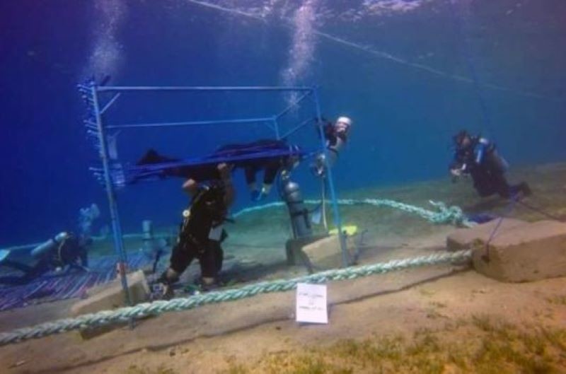 Блог - Видео: как дайвер провел почти 146 часов под водой, установив мировой рекорд Видео: как дайвер провел почти 146 часов под водой, установив мировой рекорд