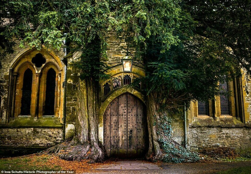 Здесь живет история: объявлены лучшие снимки исторических памятников 2020 года
