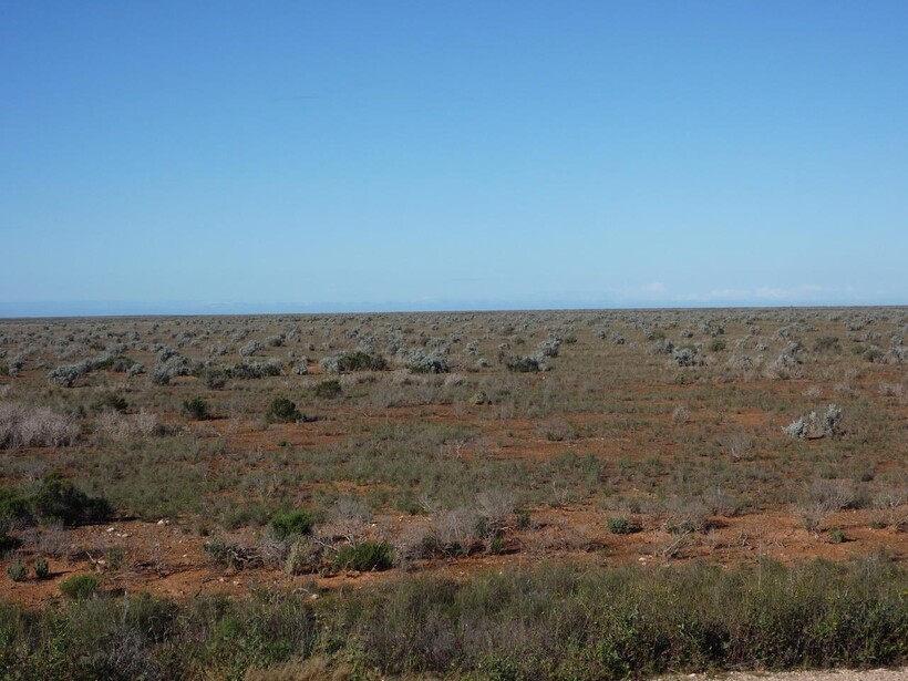 Блог - 12 фото равнины Налларбор: место, где нет деревьев, воды, мало дорог и людей 12 фото равнины Налларбор: место, где нет деревьев, воды, мало дорог и людей