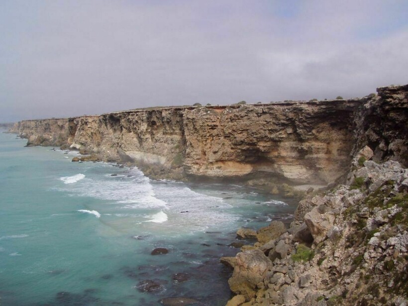 Блог - 12 фото равнины Налларбор: место, где нет деревьев, воды, мало дорог и людей 12 фото равнины Налларбор: место, где нет деревьев, воды, мало дорог и людей