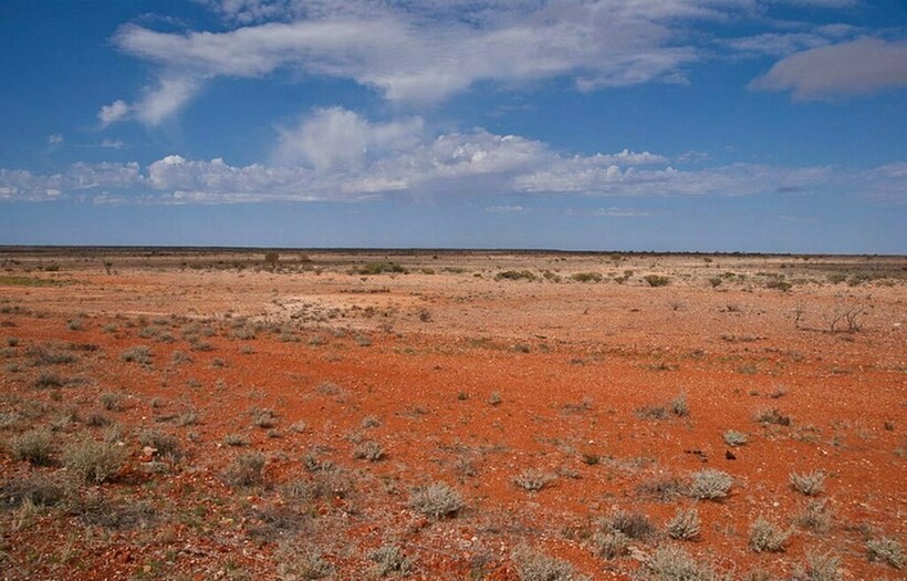 Блог - 12 фото равнины Налларбор: место, где нет деревьев, воды, мало дорог и людей 12 фото равнины Налларбор: место, где нет деревьев, воды, мало дорог и людей