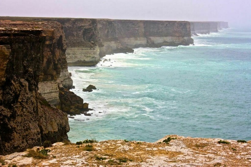 Блог - 12 фото равнины Налларбор: место, где нет деревьев, воды, мало дорог и людей 12 фото равнины Налларбор: место, где нет деревьев, воды, мало дорог и людей