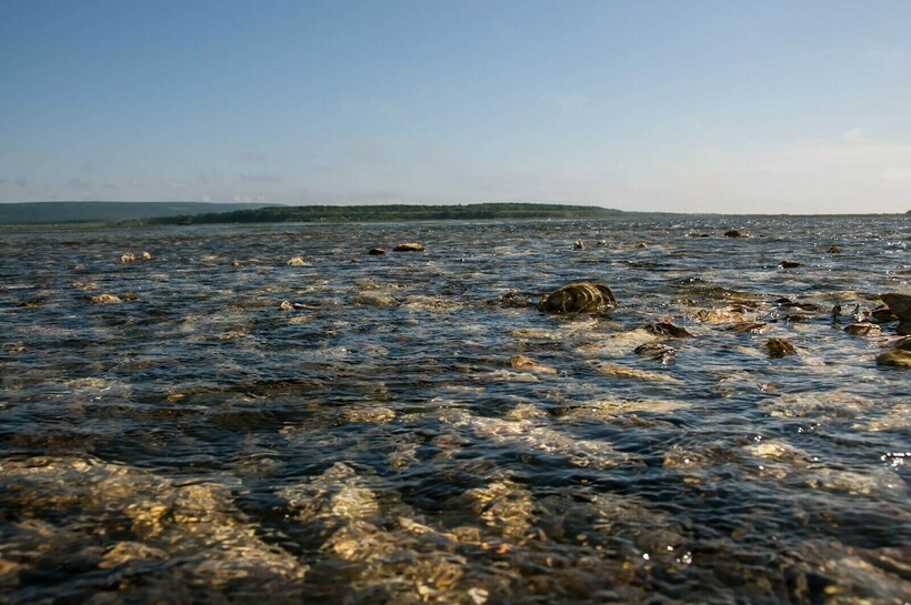 Пейзаж озера Буссе