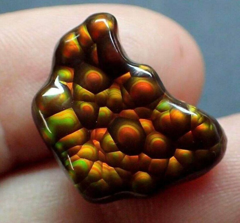 Блог - 16 фотографий, которые открывают любопытные факты о нашем мире и заставляют удивиться 16 фотографий, которые открывают любопытные факты о нашем мире и заставляют удивиться