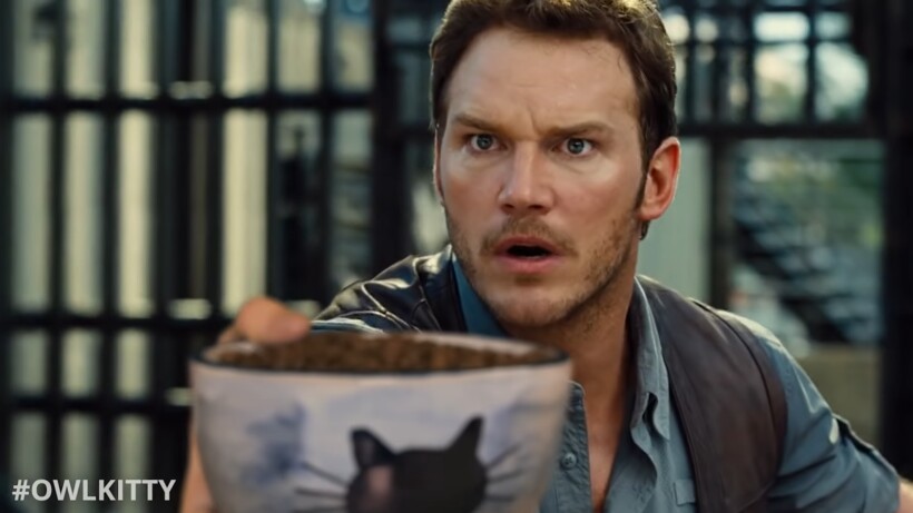 Блог - Видео: Что, если бы вместо динозавров в «Мире юрского периода» были коты Видео: Что, если бы вместо динозавров в «Мире юрского периода» были коты