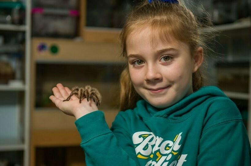 О своих подопечных девочка знает почти все и охотно делится своими наблюдениями О своих подопечных девочка знает почти все и охотно делится своими наблюдениями