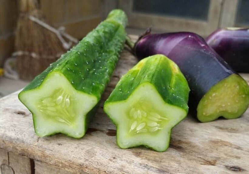 Блог - Где можно попробовать квадратные арбузы и звездные огурцы Где можно попробовать квадратные арбузы и звездные огурцы