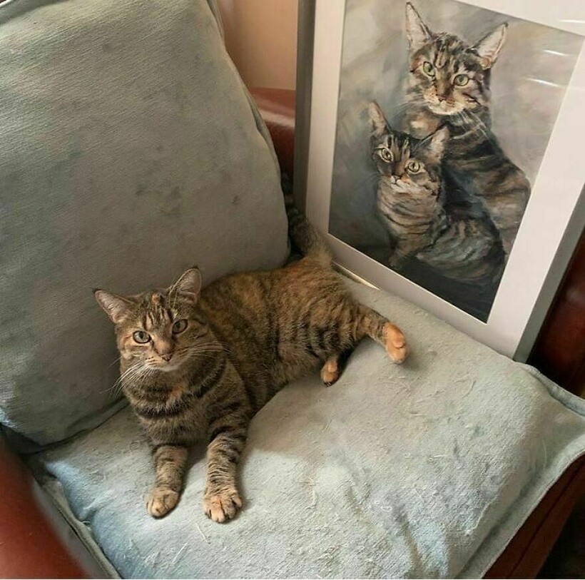 Портрет кошек, который Паша нарисовал на заказ Портрет кошек, который Паша нарисовал на заказ