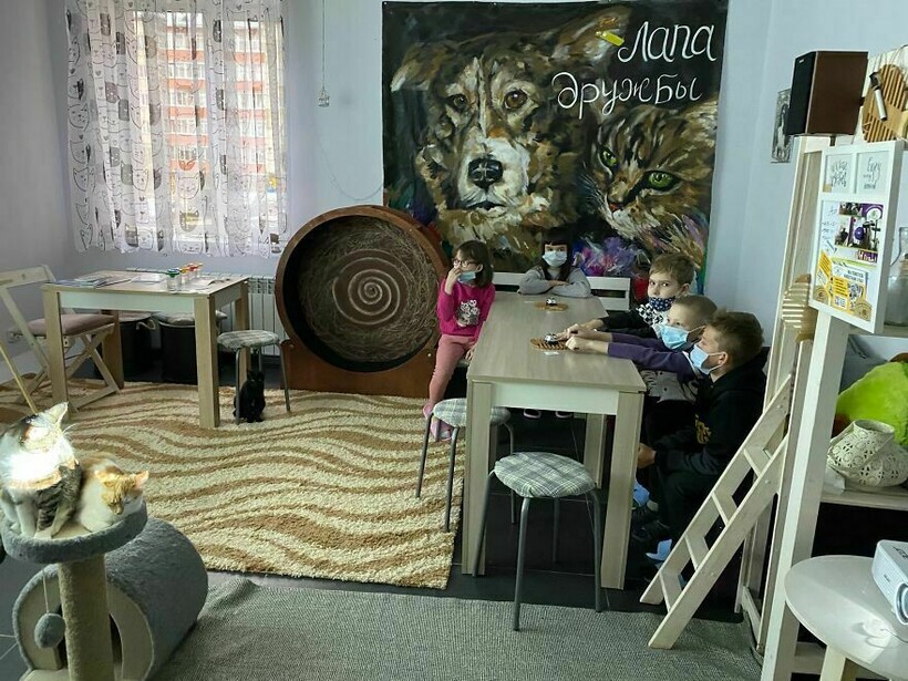 Это место стало не только арт-пространством, но и домом для бездомных кошек Это место стало не только арт-пространством, но и домом для бездомных кошек