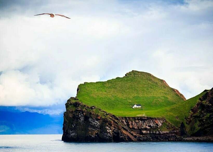 Остров настолько удален и недоступен, что по большей части на нем живут лишь птицы Остров настолько удален и недоступен, что по большей части на нем живут лишь птицы